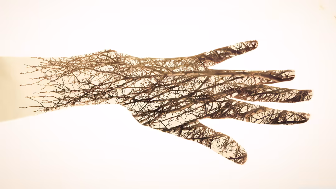 Intricate delicate branches forming an open hand shape with fine tangled twigs in warm brown and beige tones against a soft c