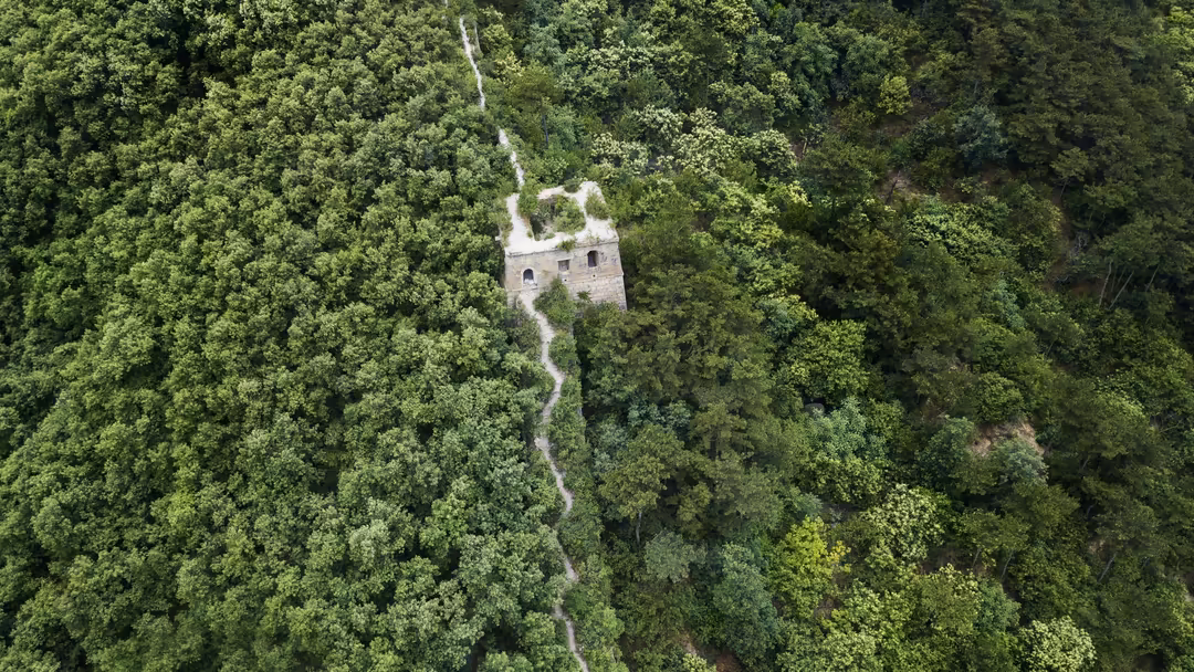 Aerial view of a historic stone tower surrounded by dense green forest with winding path leading to it