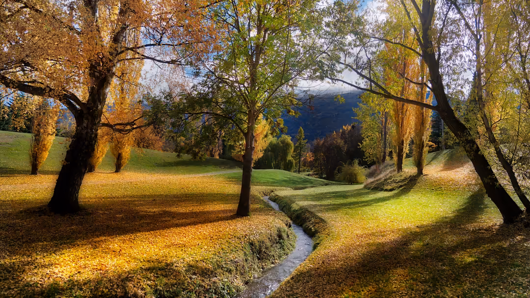 Scenic autumn forest with golden leaves, winding stream, and majestic mountains visible in the misty distance beyond rolling
