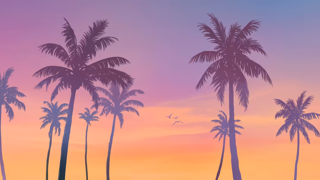 Silhouetted palm trees against a vibrant gradient sunset sky transitioning from purple and pink to orange and yellow hues wit