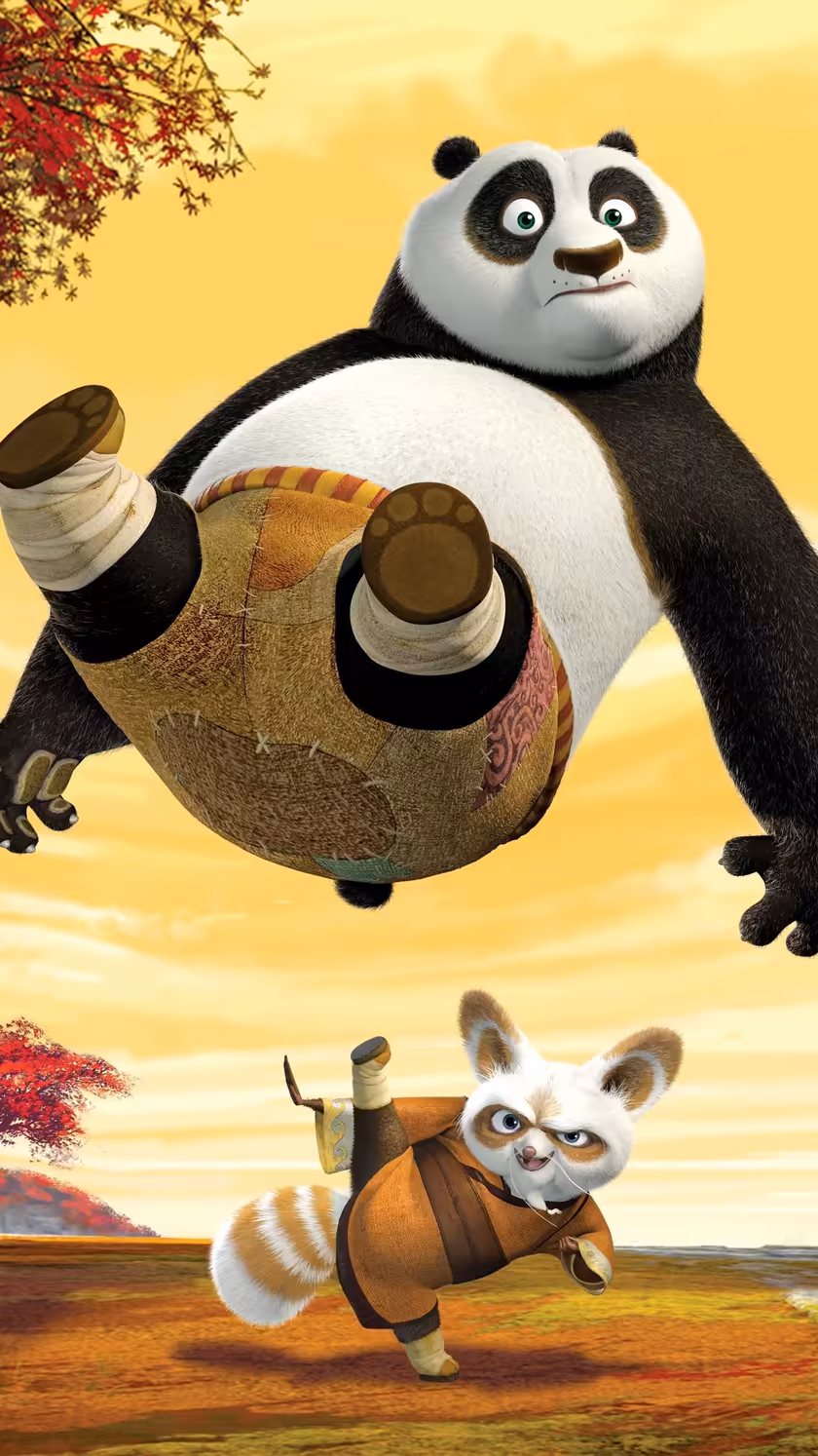 Disney Kung Fu Panda Adventure