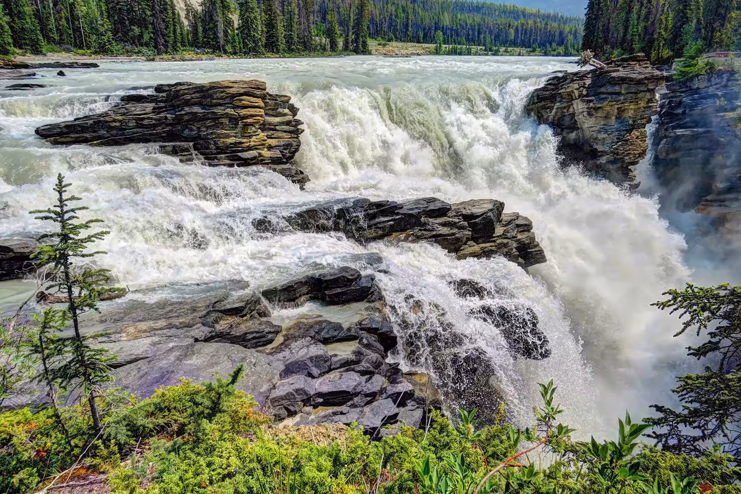 Powerful rushing mountain river with massive white water cascades surrounded by dense pine forest and rocky cliffs on both si
