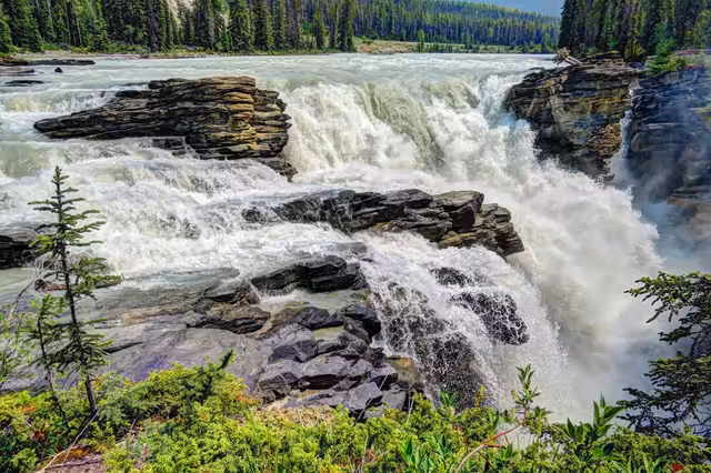 Rushing Mountain River With Pine Forest