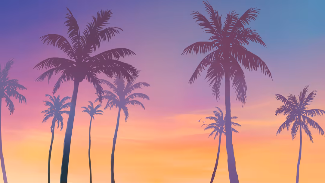Silhouetted palm trees against a vibrant gradient sky transitioning from pink and purple to orange and yellow at sunset