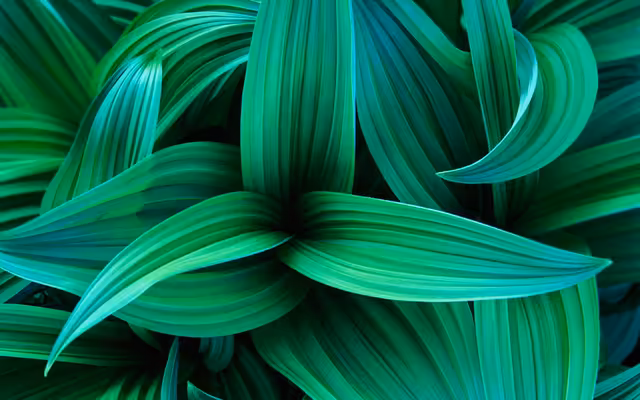 Layered Green Leaves Abstract Texture
