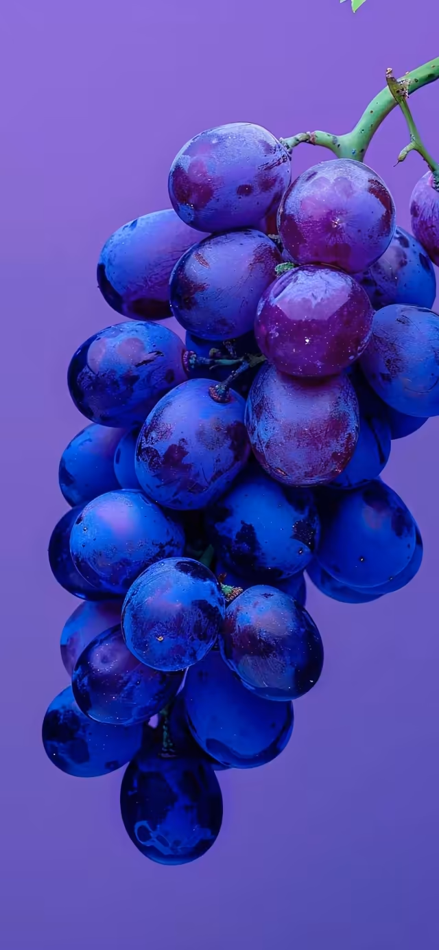 Deep Purple Grapes 4K