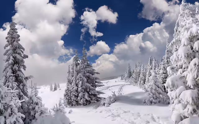 Snow Covered Forest Mountains Blue Sky