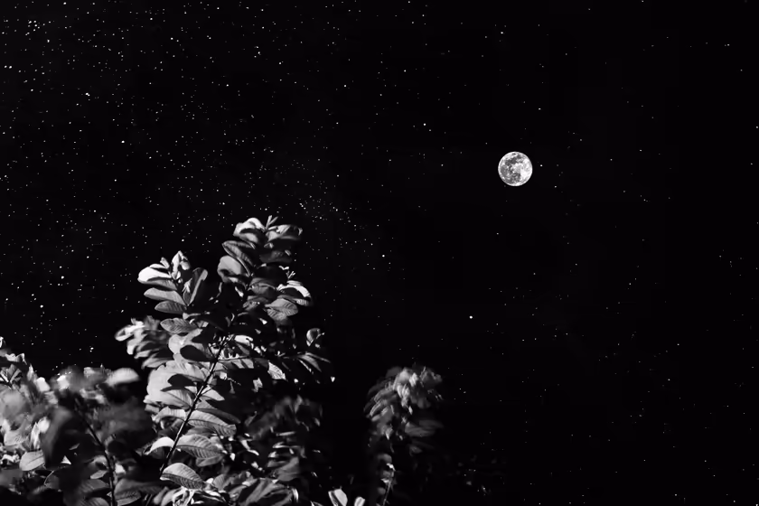 Moonlight Through Starlit Night Sky
