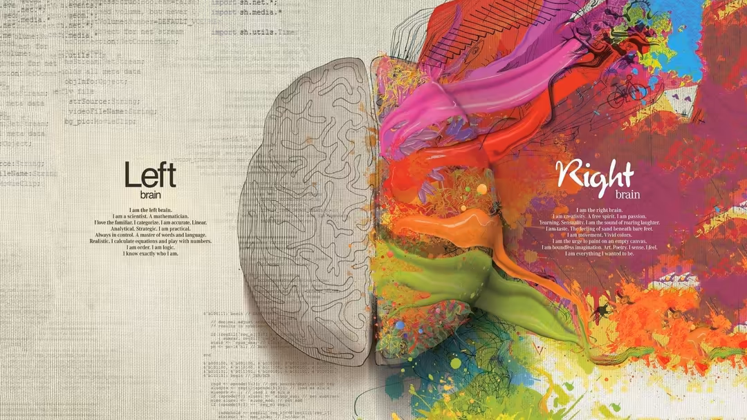 Left Brain Right Brain Colorful Art — horizontal abstract Full HD wallpaper