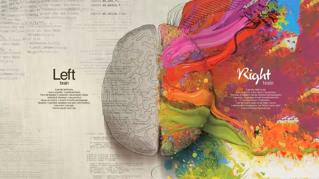 Left Brain Right Brain Colorful Art