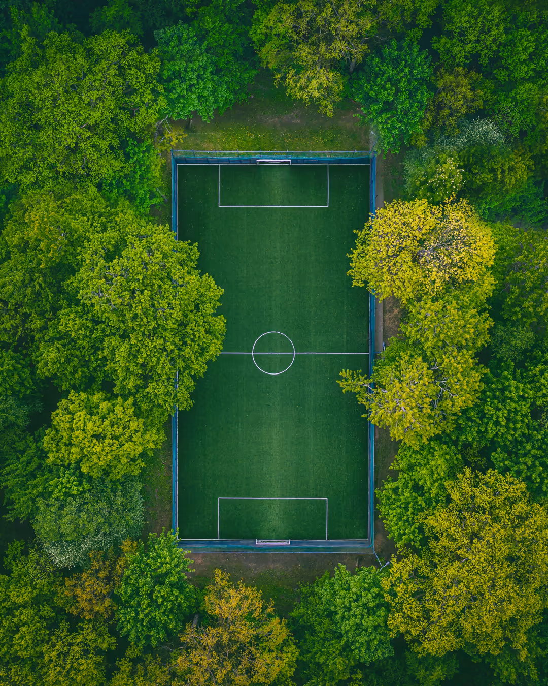Aerial view of a soccer field surrounded by dense green forest, showing white markings and blue boundary lines from above