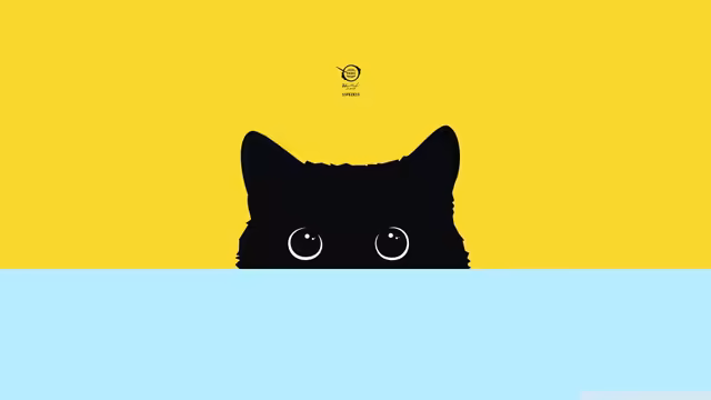 black cat digital wallpaper