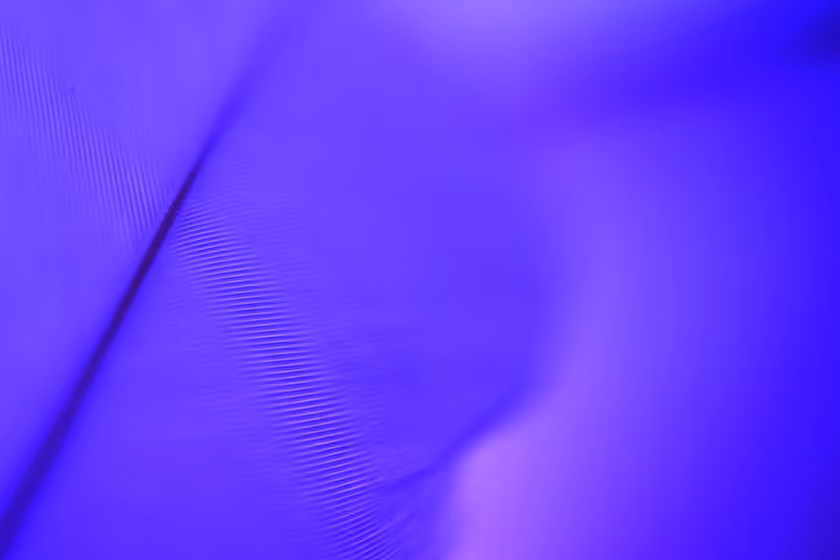 Vibrant Purple Abstract Wave Design