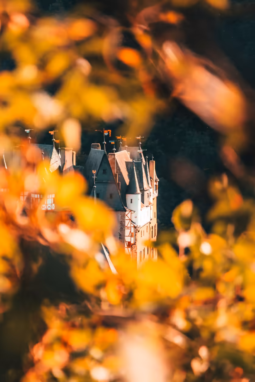 Medieval Castle Through Golden Flowers