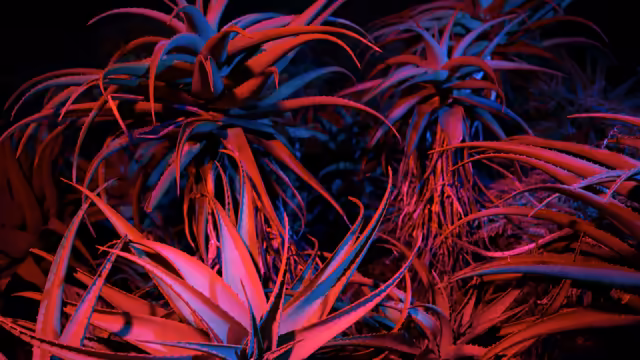 Neon Aloe Vera Plant Abstract