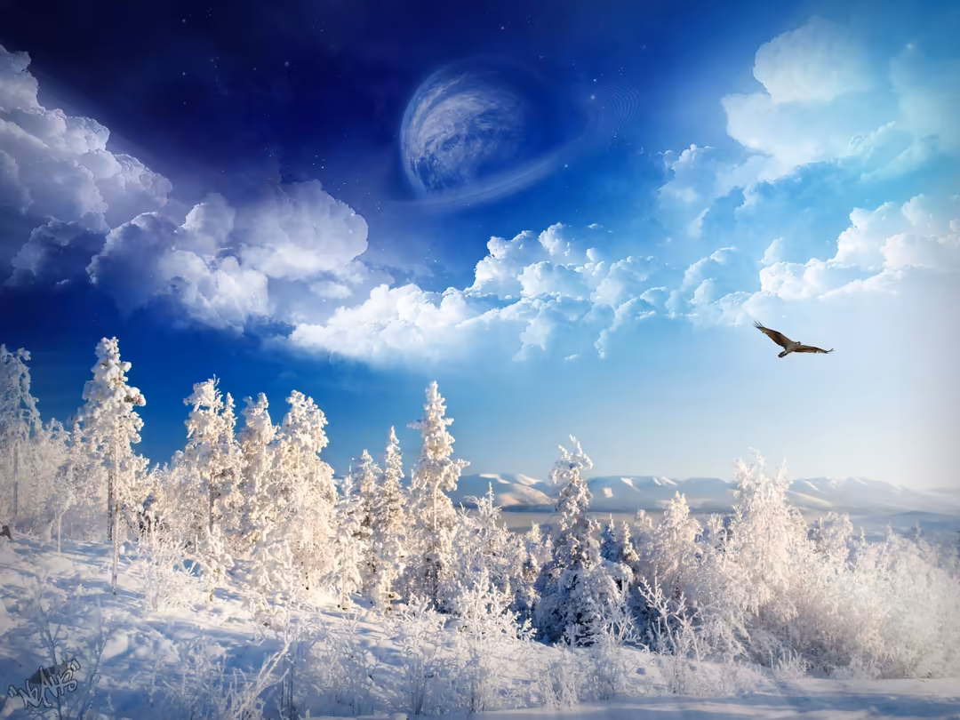 Snow-covered coniferous forest with frost-laden trees overlooking a vast snowy landscape and distant mountains under a brilli