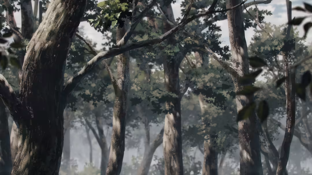 Tall trees with hanging vines in a misty, atmospheric forest with soft natural lighting filtering through the foliage