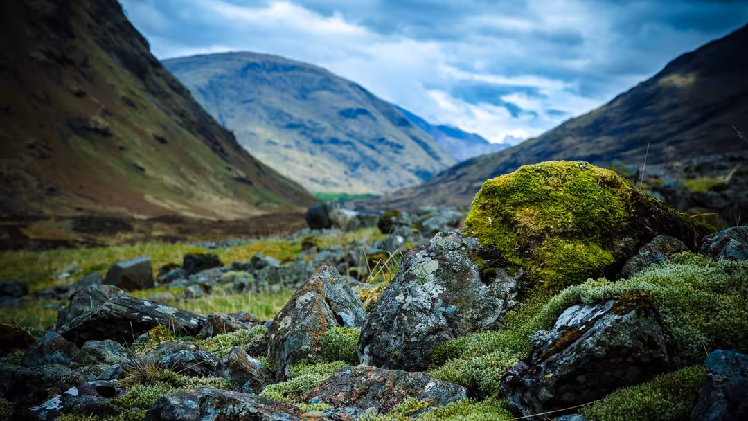 Moss-covered boulders in foreground with dramatic alpine valley, snow-capped mountains and cloudy blue sky in background