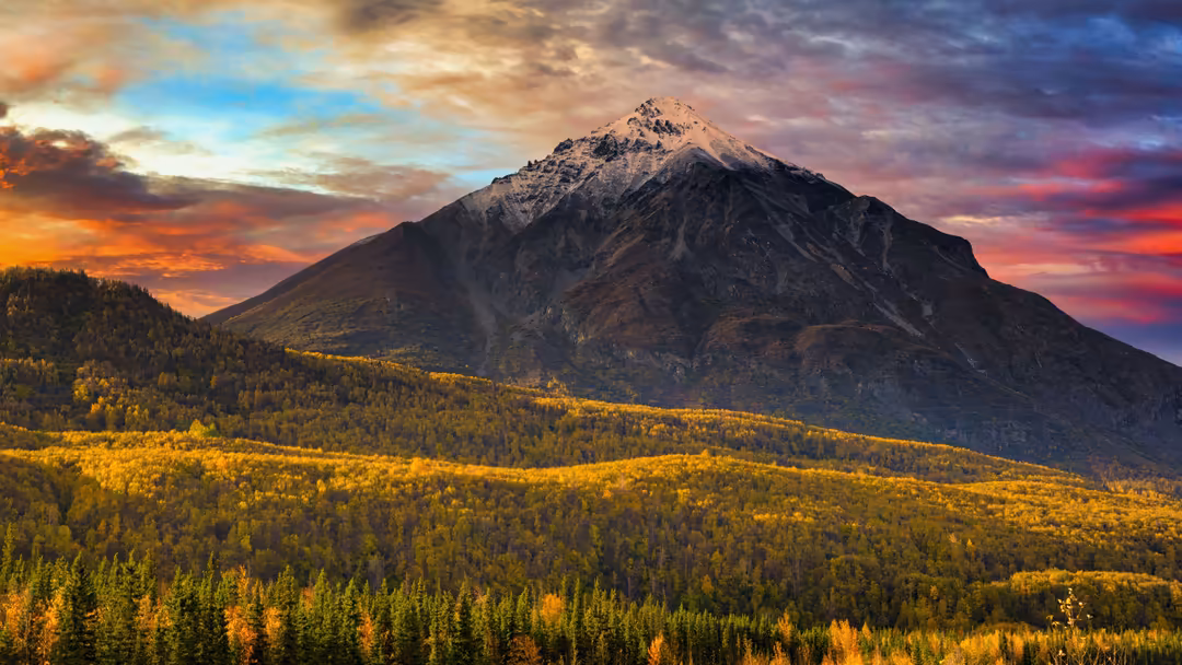 Snow-capped mountain peak with golden larch forest in foreground under dramatic sunset sky with orange and purple clouds