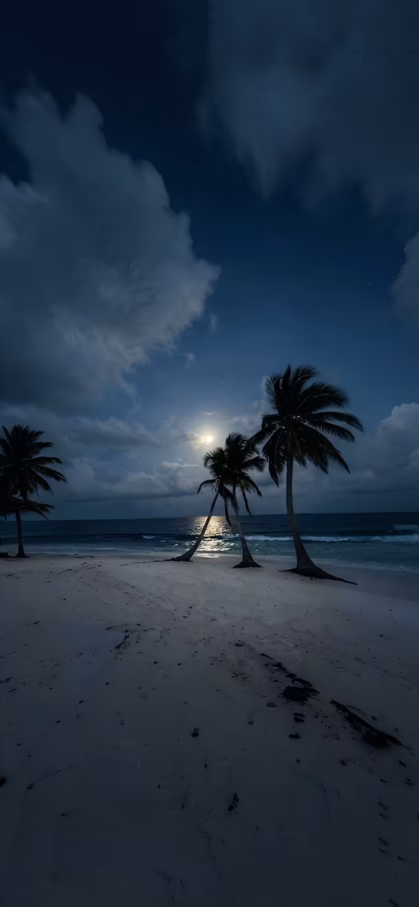 Moonlit Beach With Palm Trees