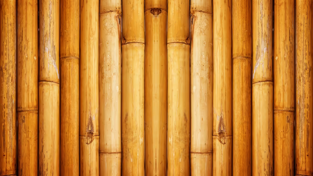 Close-up of golden bamboo stalks arranged vertically with natural knots and warm honey-colored wood grain texture throughout