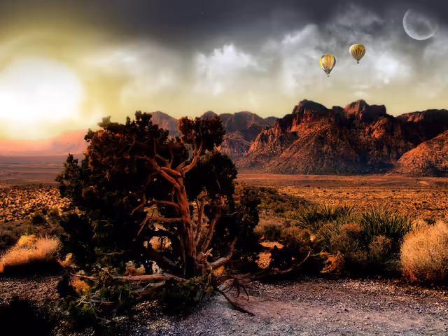 Desert Landscape Hot Air Balloons Sunset