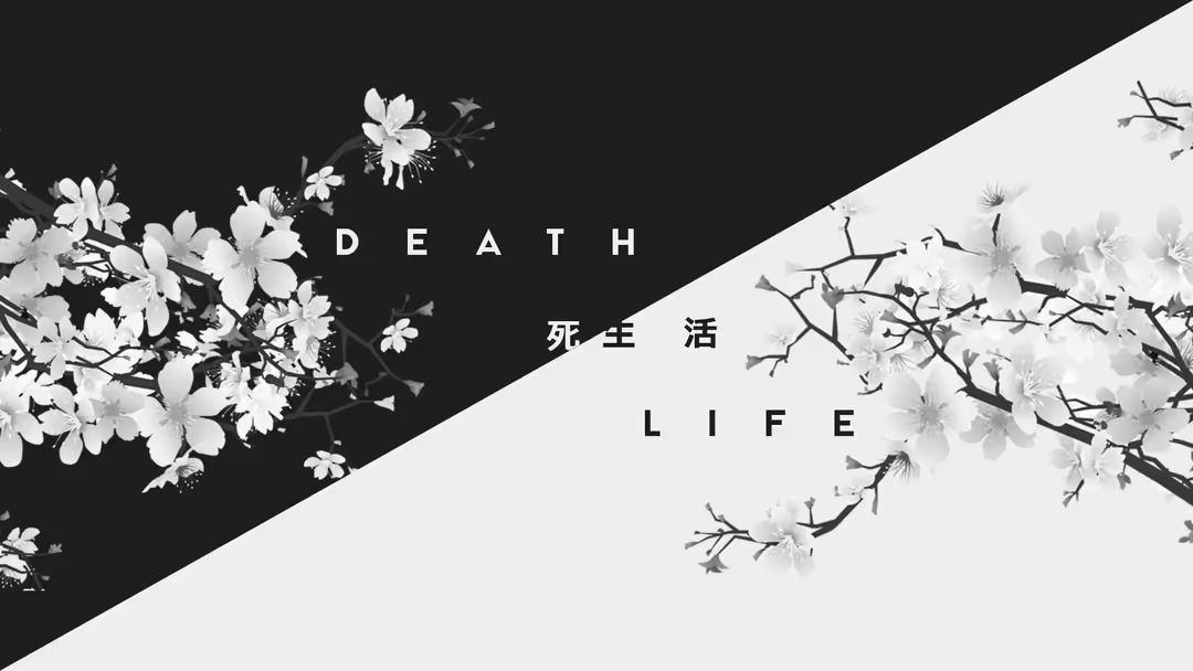 White Flowers Black White Split Design — horizontal white space Full HD wallpaper