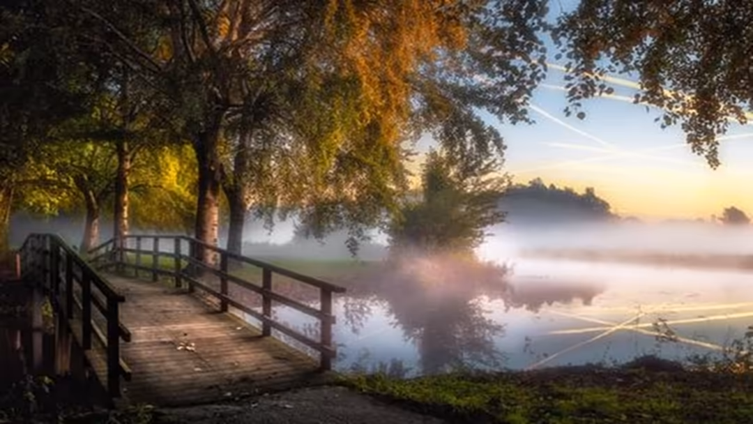Wooden bridge pathway through golden autumn trees with misty river valley and soft morning sunlight in serene forest landscap