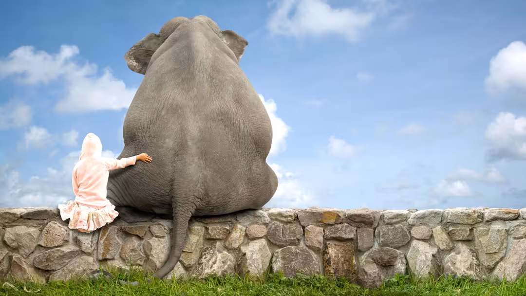Young girl in pink dress sitting on stone wall beside giant elephant against blue sky with white clouds