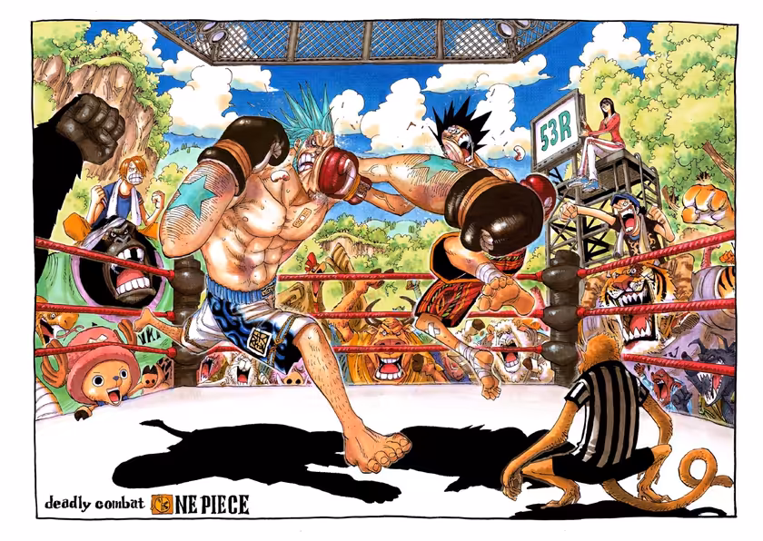 Monkey D. Luffy Boxing Intense Battle
