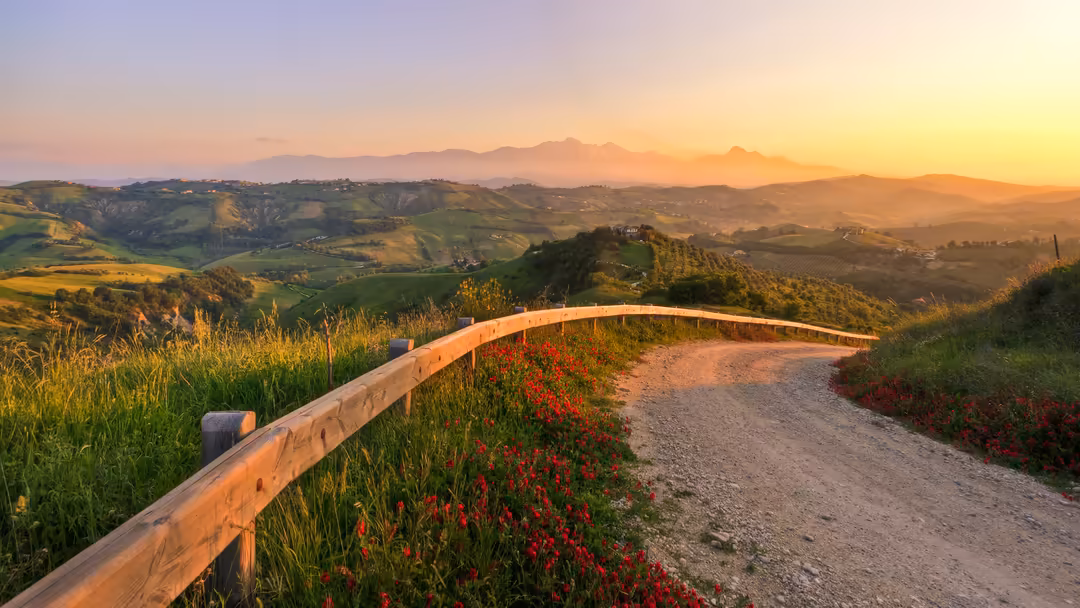 Golden sunset over rolling Tuscan hills with wooden fence along a dirt path lined with red flowers and green valleys stretchi
