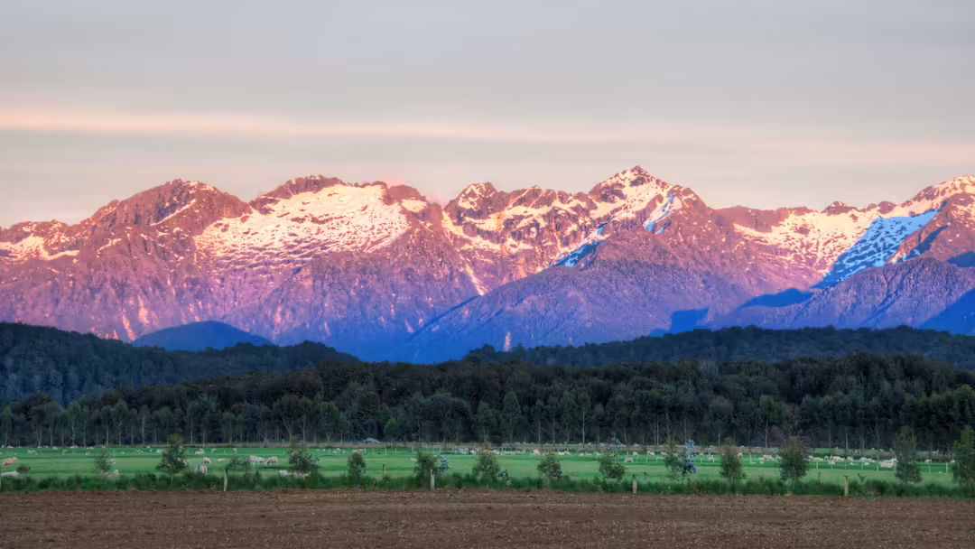 Majestic snow-covered mountain peaks with golden sunset light, dense forest, and green valley in foreground under twilight sk