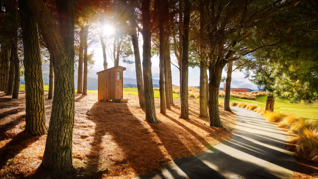 Tall trees line a sunlit path leading to a wooden cabin in a pastoral landscape with green fields and mountains visible in th