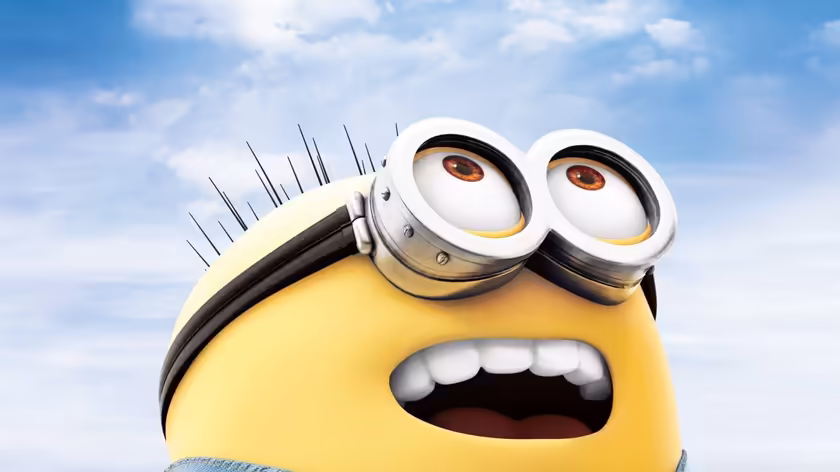 Despicable Me Minion Excited Sky