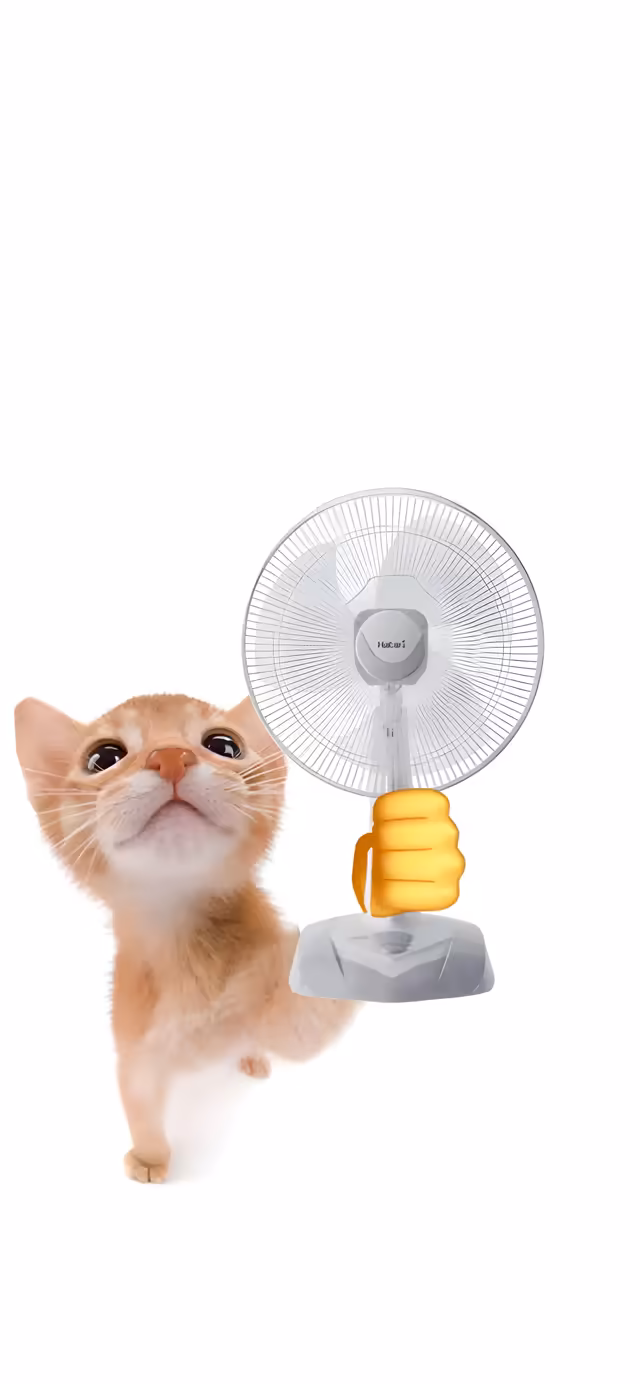 Cat Holding Electric Fan