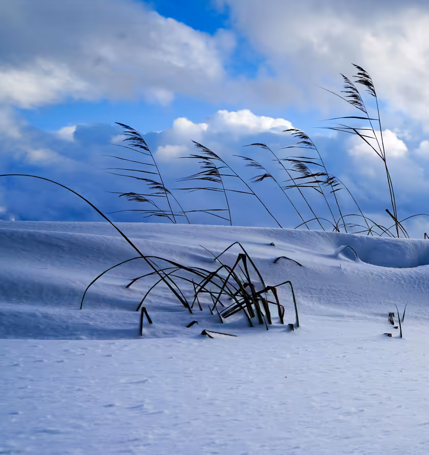 Snow‑Covered Grass with Cloudy Sky – Winter Wallpaper