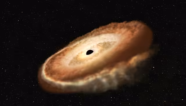 Black Hole Cosmic Accretion Disk