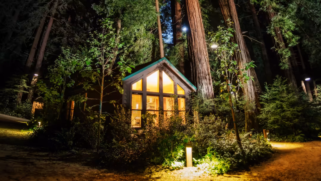 Illuminated cabin with glowing windows surrounded by towering redwood trees and lush green foliage at night with pathway ligh