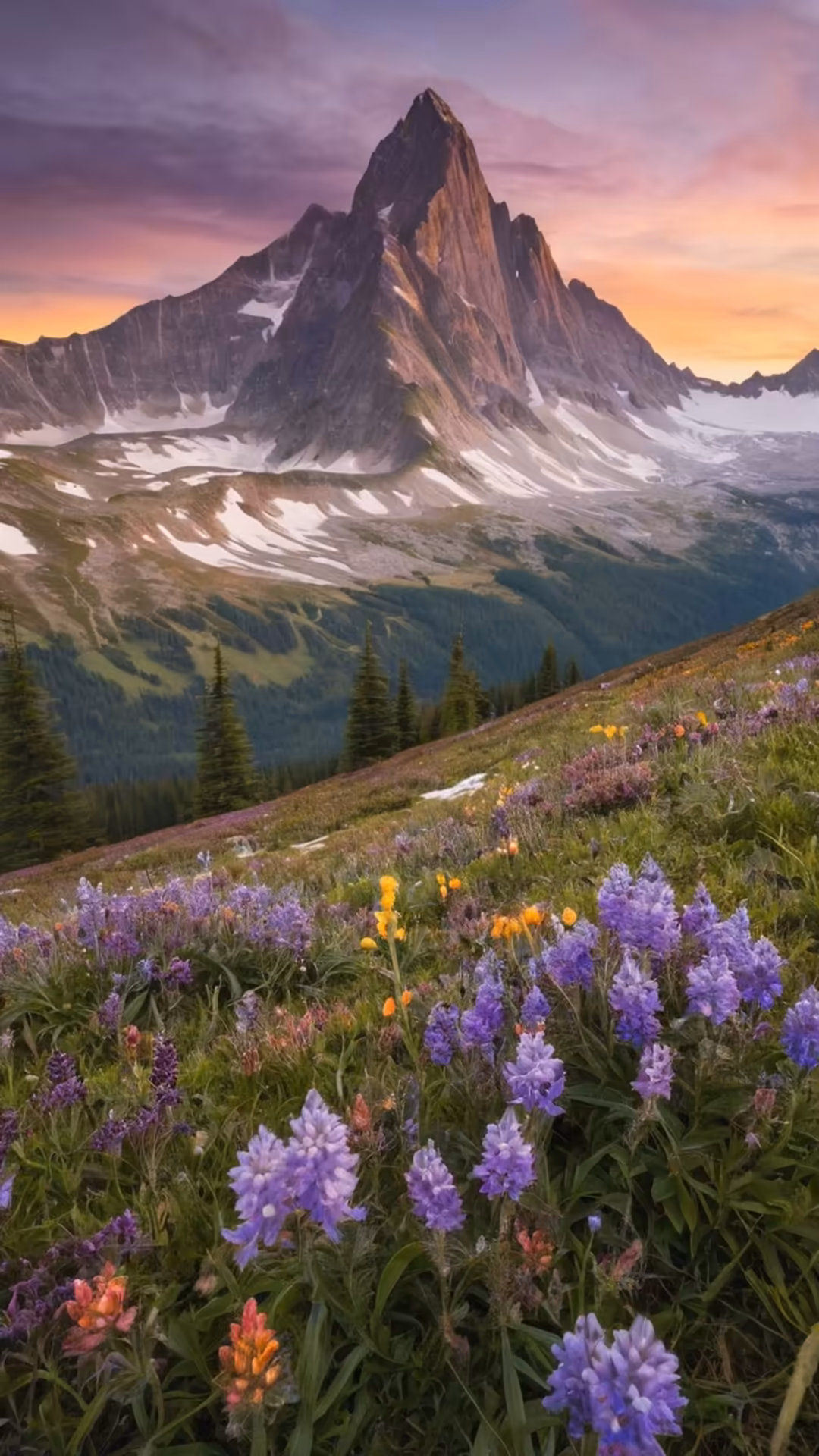 Dramatic rocky mountain peak at sunset with purple lupine wildflowers and yellow balsamroot blooming in alpine meadow below