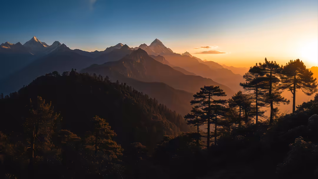 Dramatic mountain landscape with golden sunset light filtering through forested valleys and silhouetted pine trees creating l