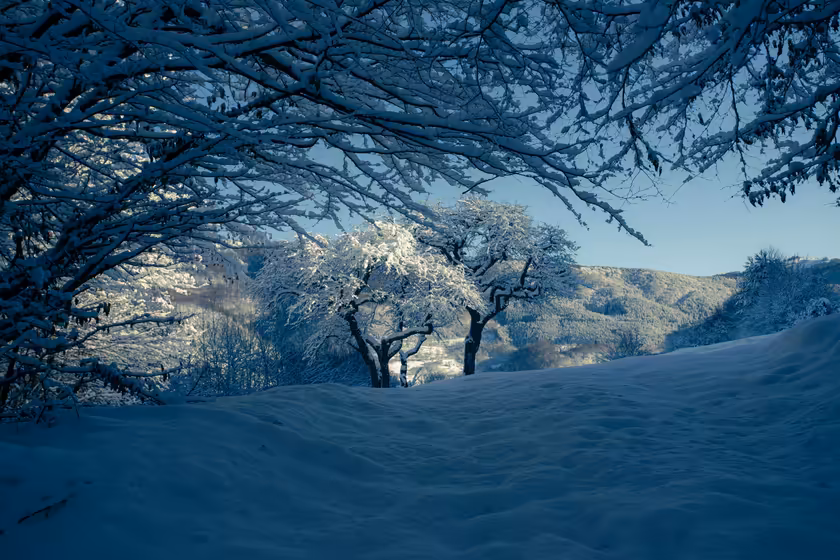 Snowy Hills with Trees 4K wallpaper