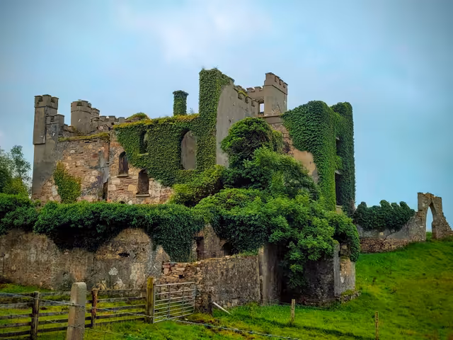 Ivy Covered Castle Ruins