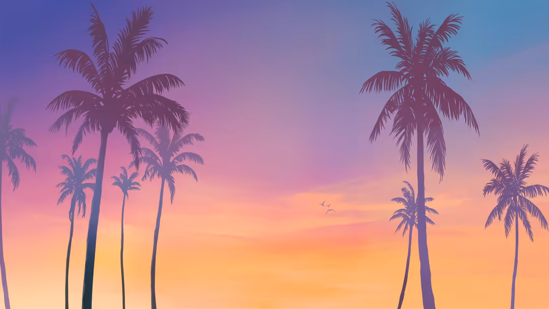 Silhouetted palm trees against a vibrant gradient sunset sky transitioning from purple and pink to orange and yellow hues wit