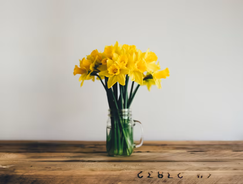 Bright Yellow Daffodils In Glass Vase