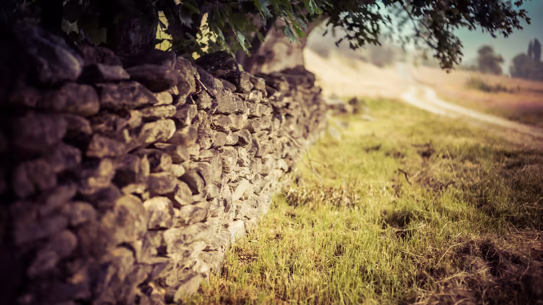 Close-up of weathered stone wall alongside a green field with blurred rural landscape and tree branches in background