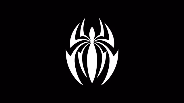 Minimalist Spider Web Symbol