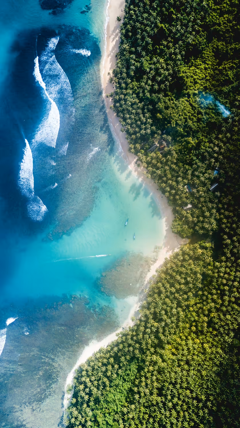 Tropical Coastline Aerial View
