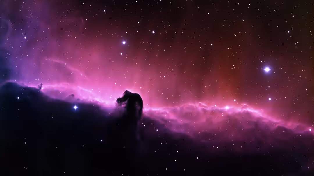 Horsehead Nebula with vibrant magenta and pink cosmic clouds, silhouetted against glowing gas emissions and scattered stars i