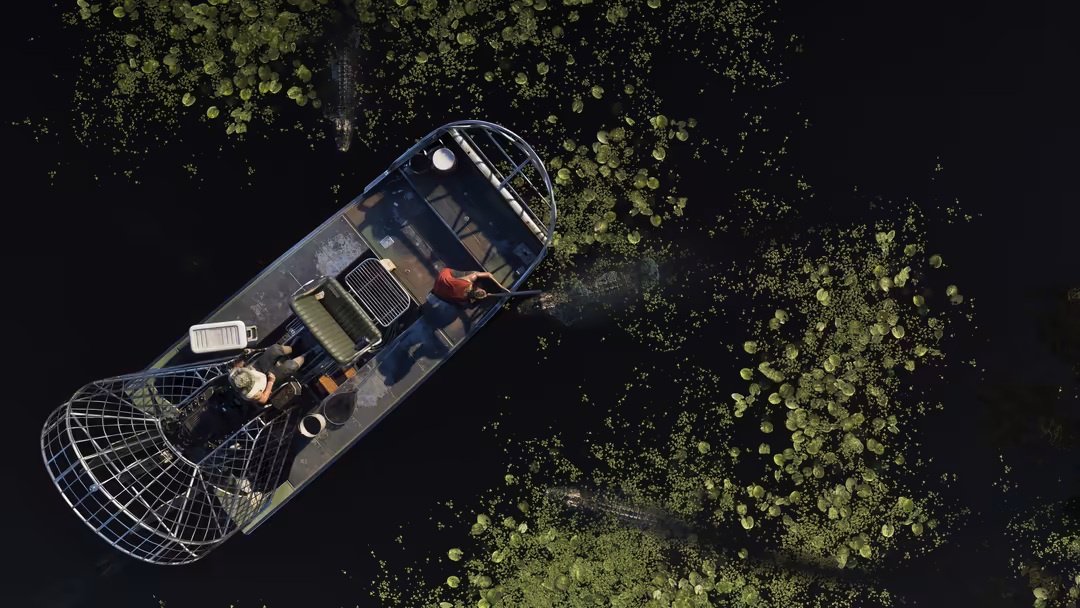 Aerial view of a speedboat navigating through a swampy wetland area with lush green vegetation in GTA VI