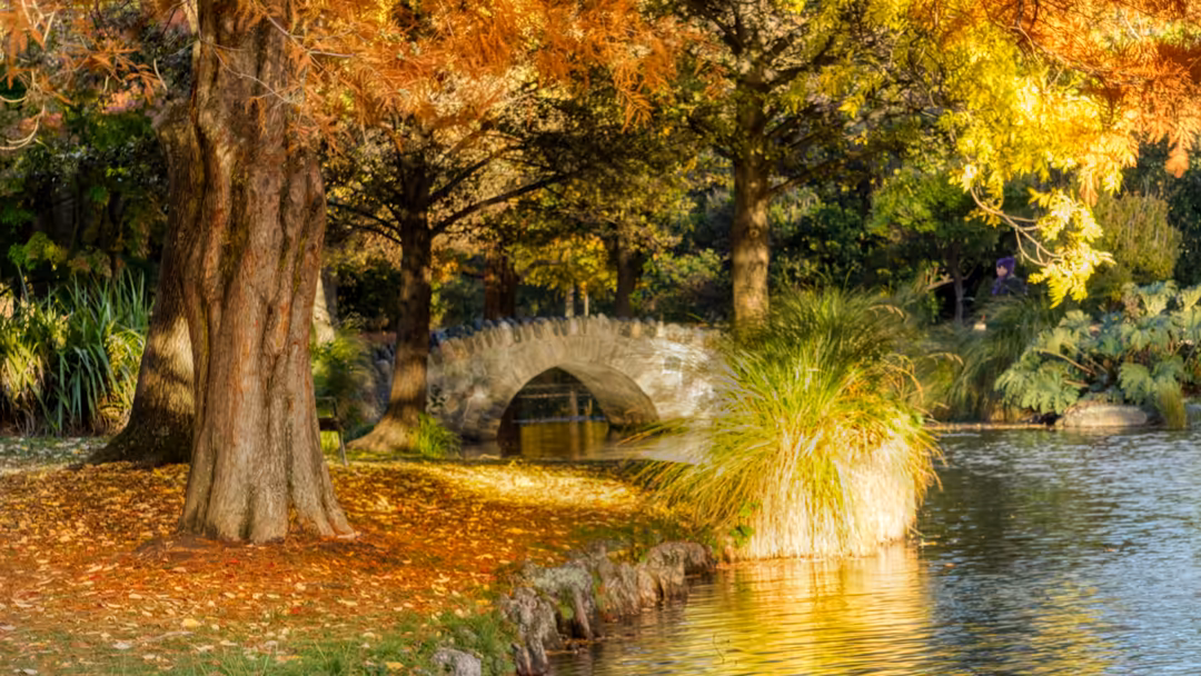 Golden autumn leaves cover the ground near ancient trees beside a calm river with a stone arch bridge in the distance under w